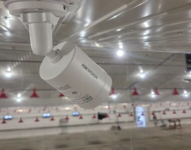Monitoring ferm drobiu
